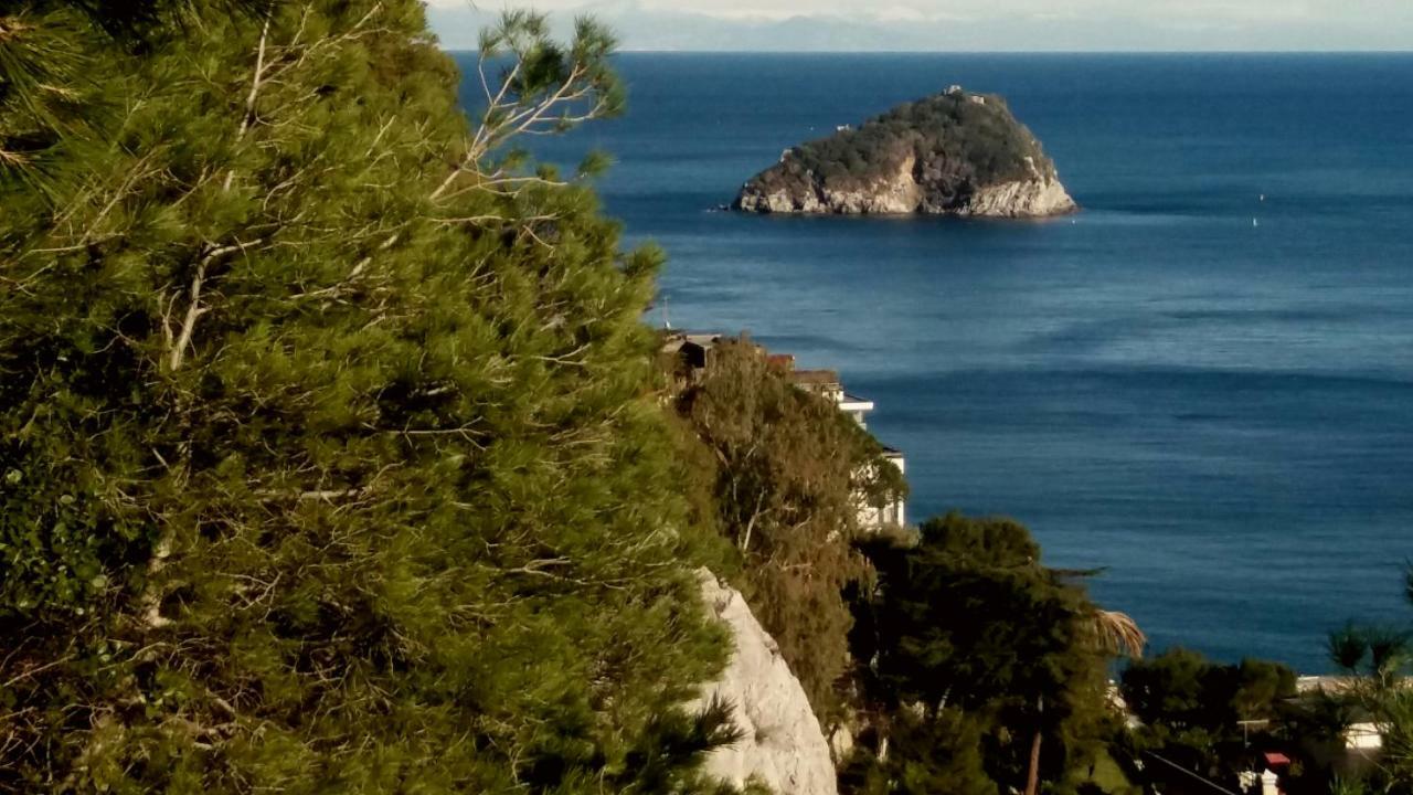 Hotel Malibu 斯波托尔诺 外观 照片